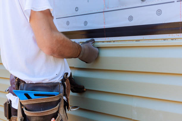 Custom Trim and Detailing for Siding in Washington, DC